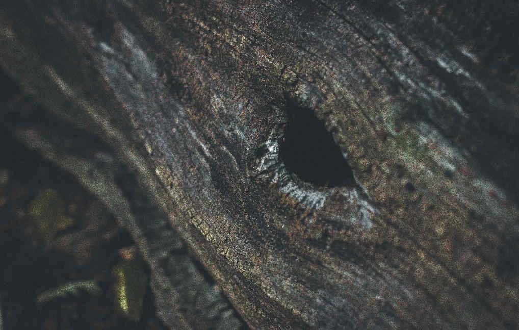 knot
